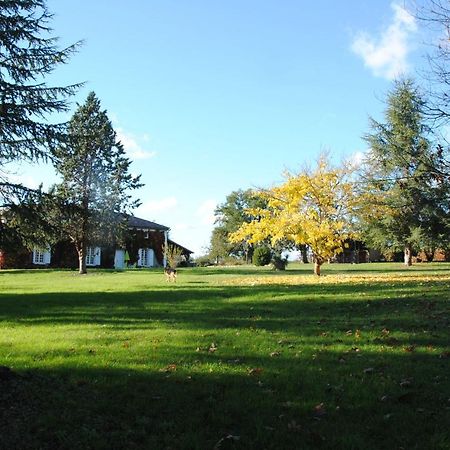 Le Chateau De Roquebere Condom Buitenkant foto