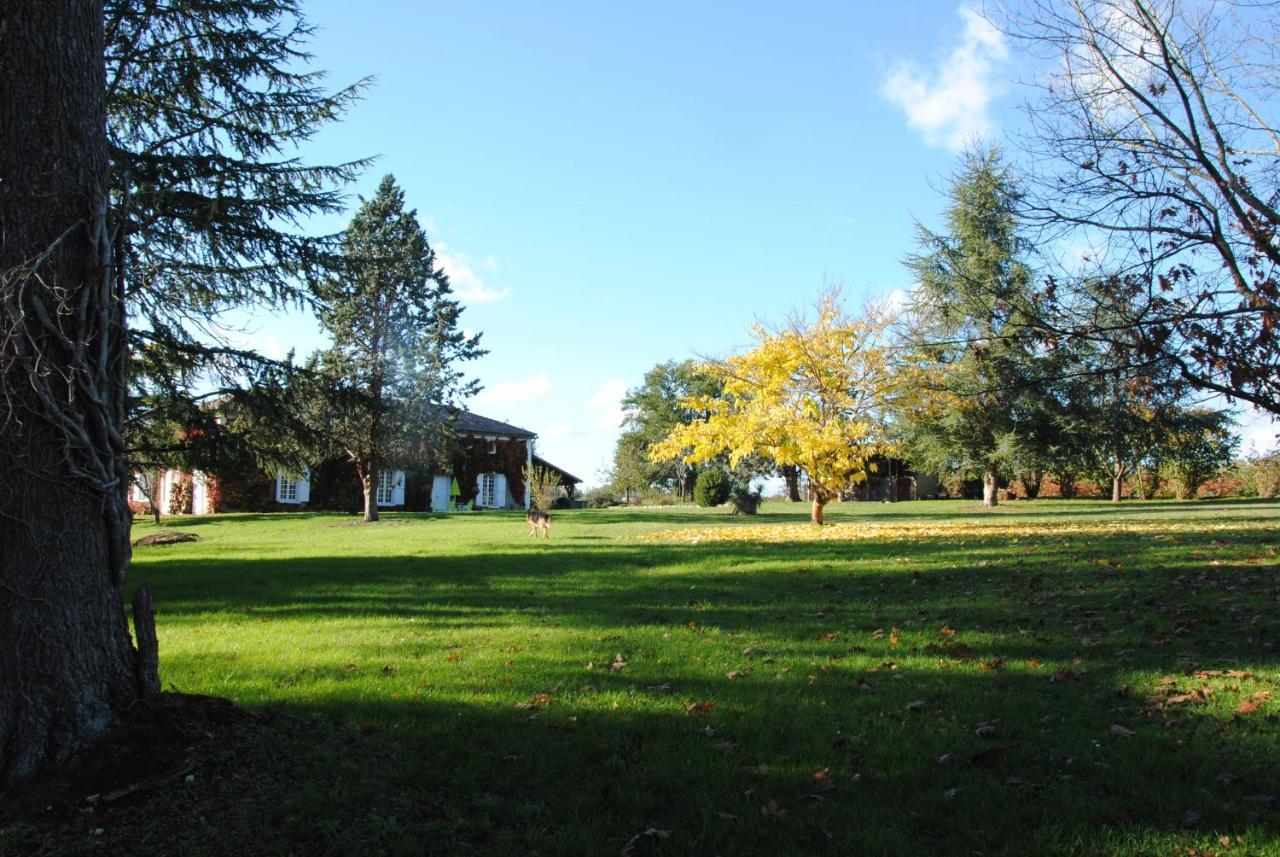 Le Chateau De Roquebere Condom Buitenkant foto